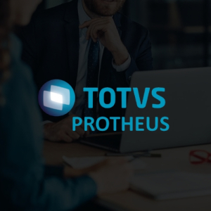 Consultoria TOTVS Protheus